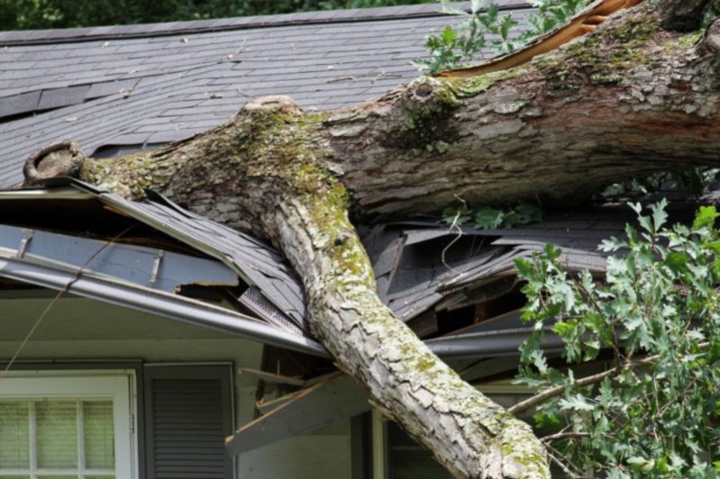 Roof Damage Repair in Port Orchard, Olympia, and Aberdeen