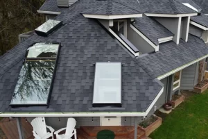Residential Roof replacement with skylights