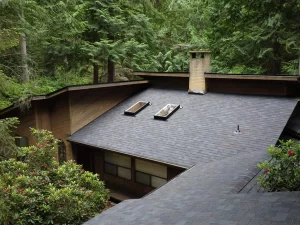 Asphalt shingle roof in Port Orchard after roof cleaning services in Spring