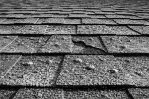 hail damage asphalt shingles